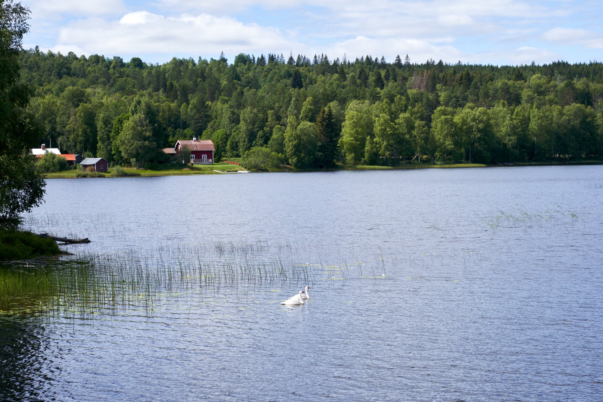 2022 07 22 Sverige 0578